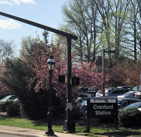 Cranford Business District